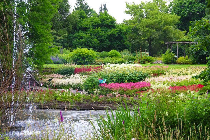 Utrecht Botanic Gardens, Netherlands